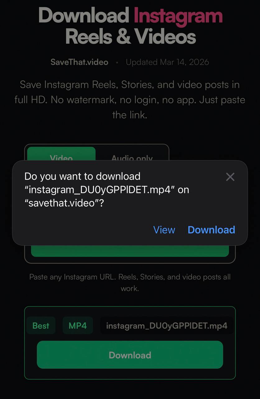 Safari download confirmation prompt for the Instagram Reel MP4 file
