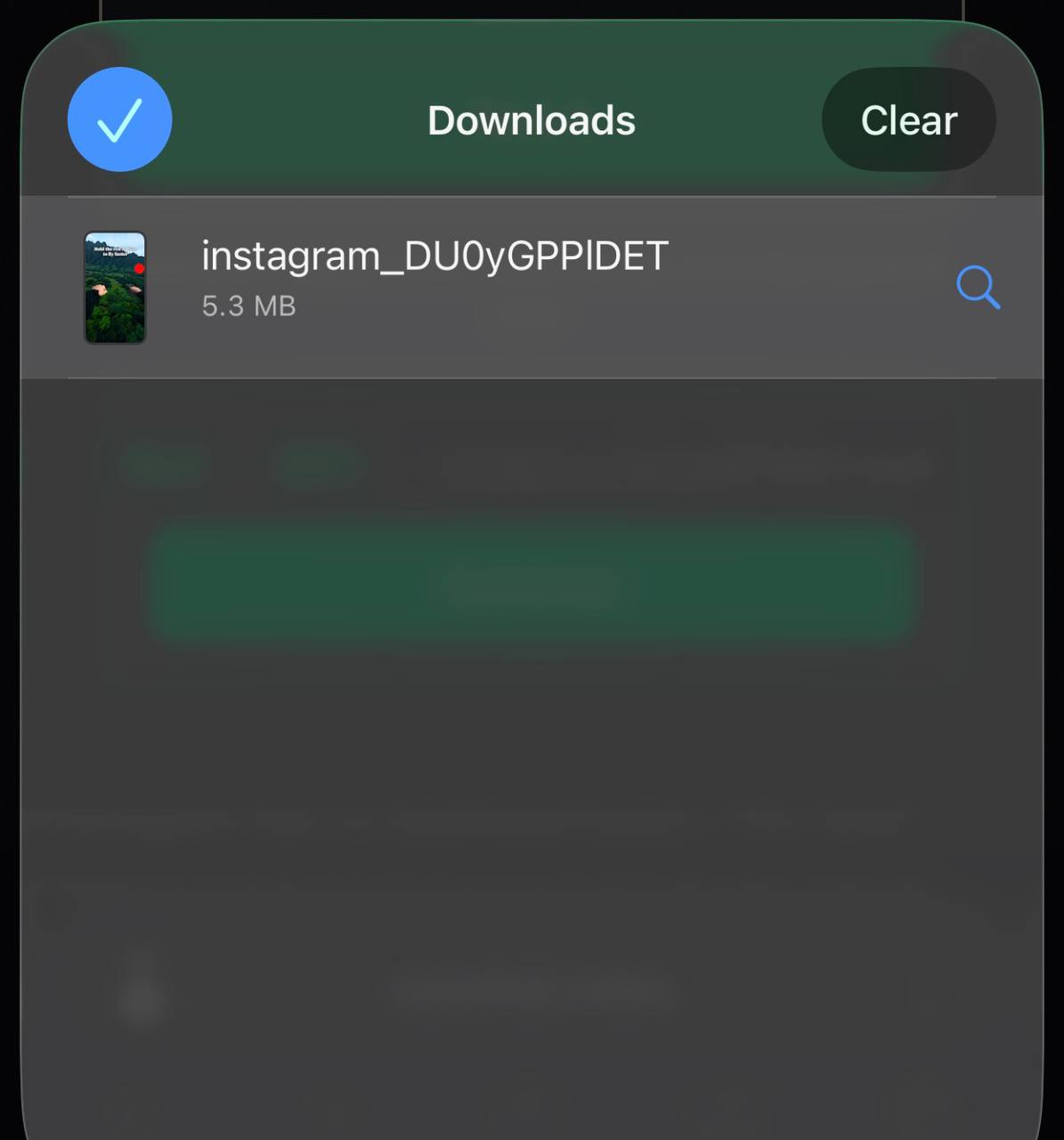 iPhone Files app share sheet with Save Video option highlighted