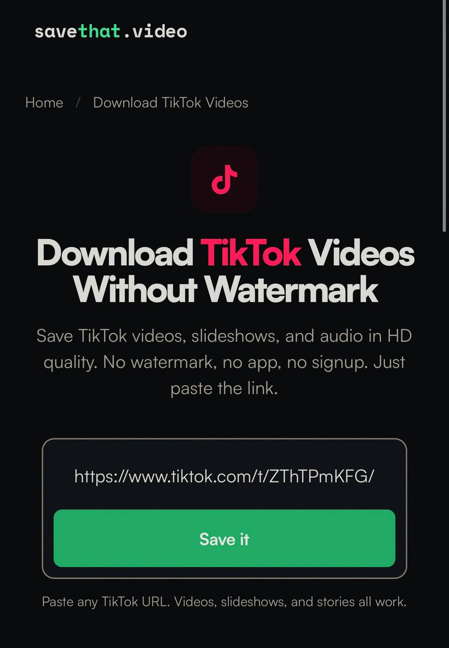 SaveThat.video with a TikTok URL pasted and the Save it button visible