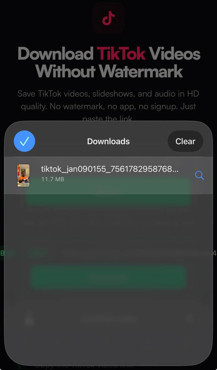iPhone Safari Downloads showing a saved TikTok audio file